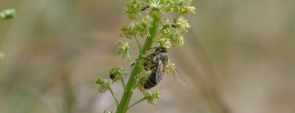 P1240068