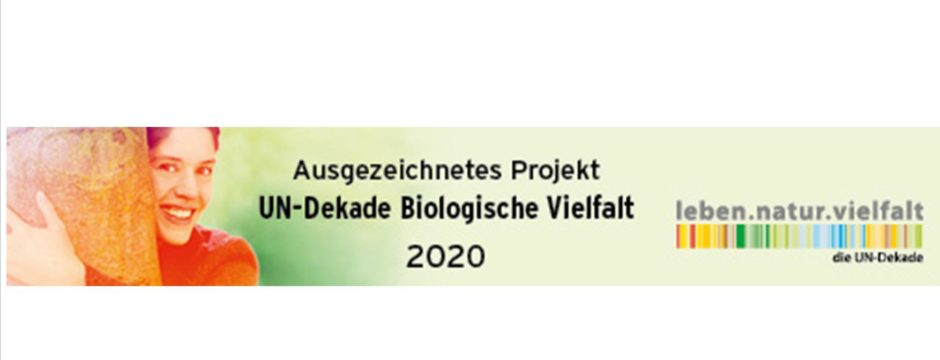 Wiederauszeichnung UN-Dekade-Projekt